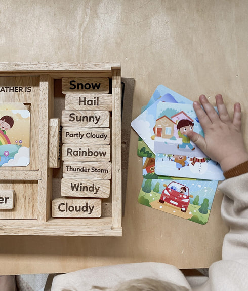 QTOYS - Weather Play Set